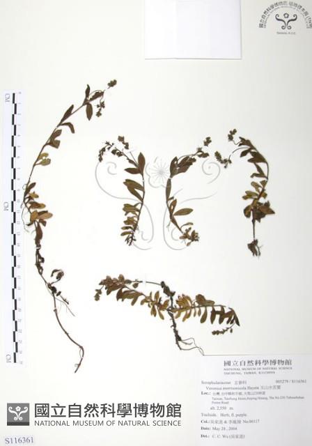 玉山水苦賈藏品圖，第1張