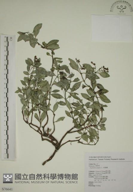 拎壁龍藏品圖，第1張