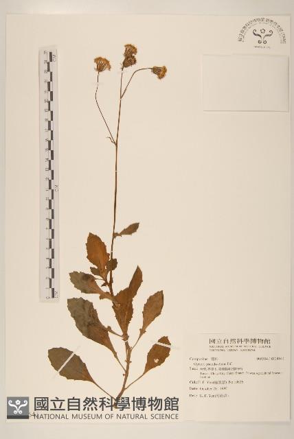 登錄號:S124641藏品圖，第1張