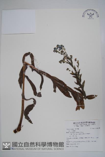 登錄號:S116741藏品圖，第1張