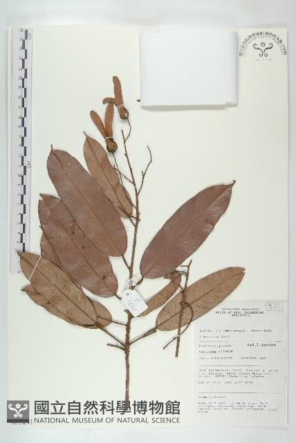 登錄號:S055241藏品圖，第1張