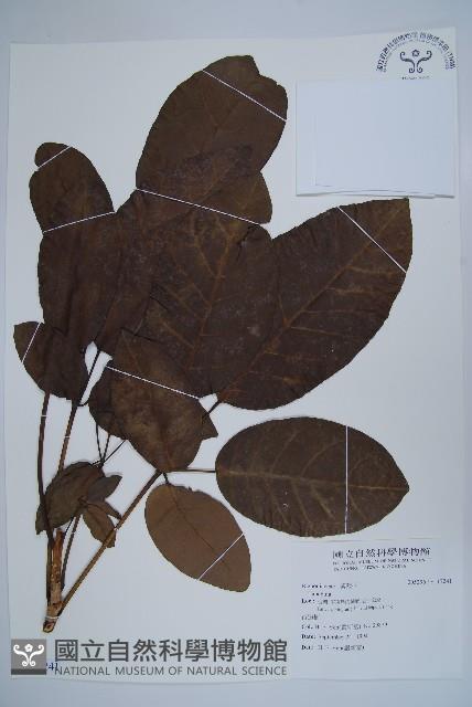 登錄號:S117241藏品圖，第1張