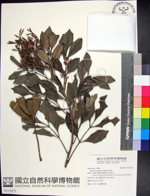 紅柴藏品圖，第1張