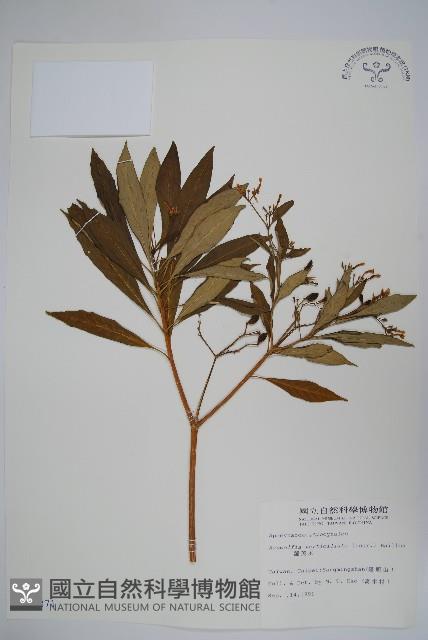 蘿芙木藏品圖，第1張