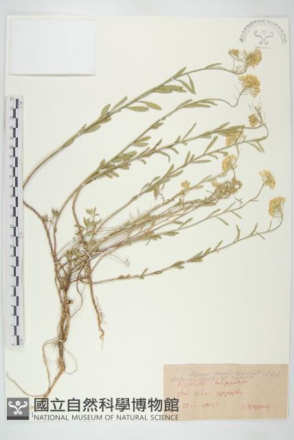 登錄號:S097571藏品圖，第1張