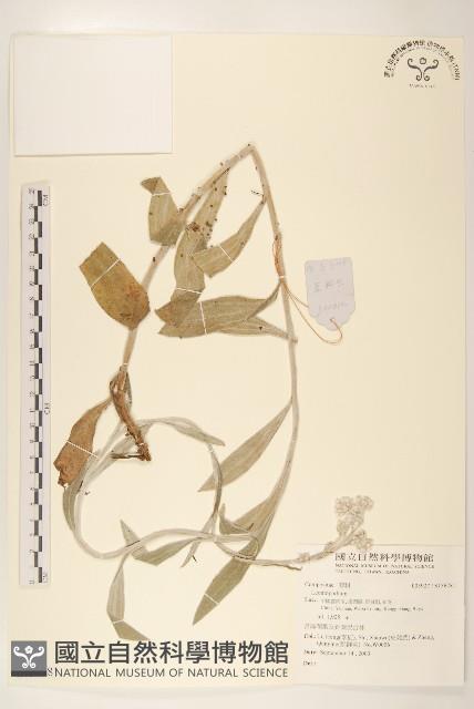 登錄號:S136781藏品圖，第1張