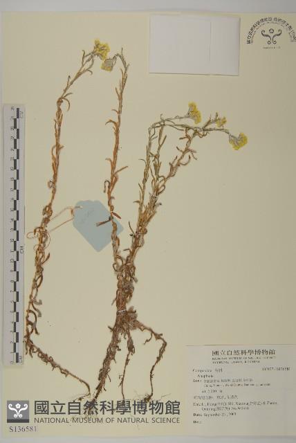 登錄號:S136581藏品圖，第1張