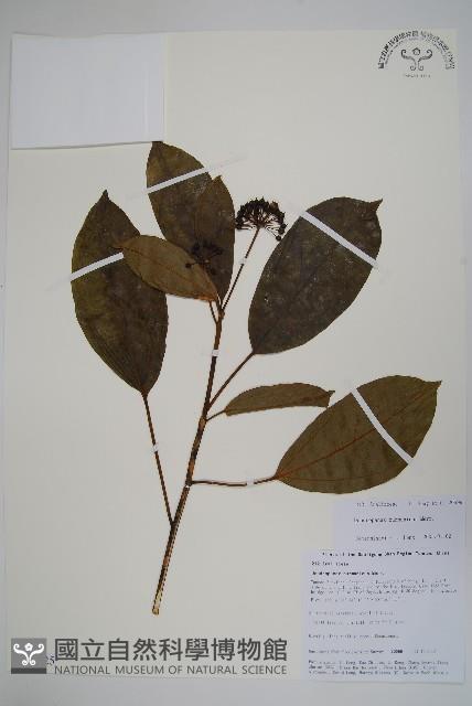 登錄號:S105625藏品圖，第1張