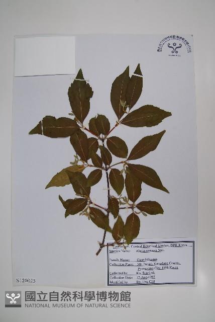 登錄號:S120025藏品圖，第1張