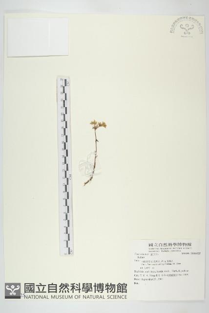 登錄號:S081025藏品圖，第1張