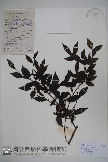 登錄號:S101725藏品圖，第1張