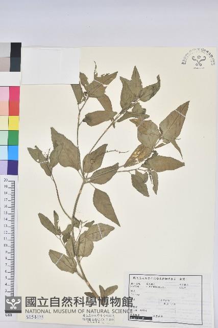 登錄號:S154425藏品圖，第1張