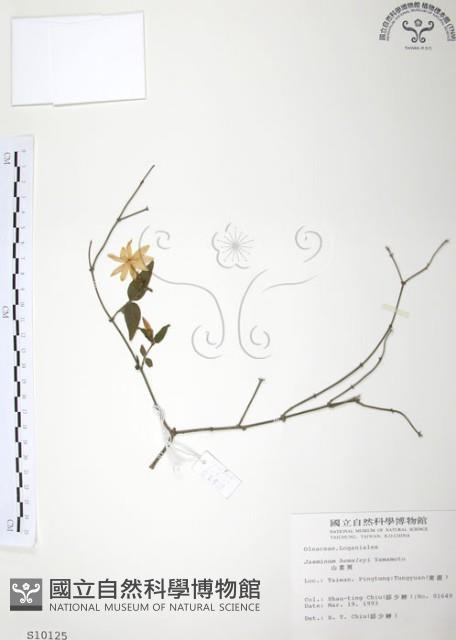 山素英藏品圖，第1張