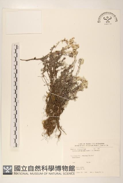 Accession Number:S017125 Collection Image, Figure 1, Total 2 Figures