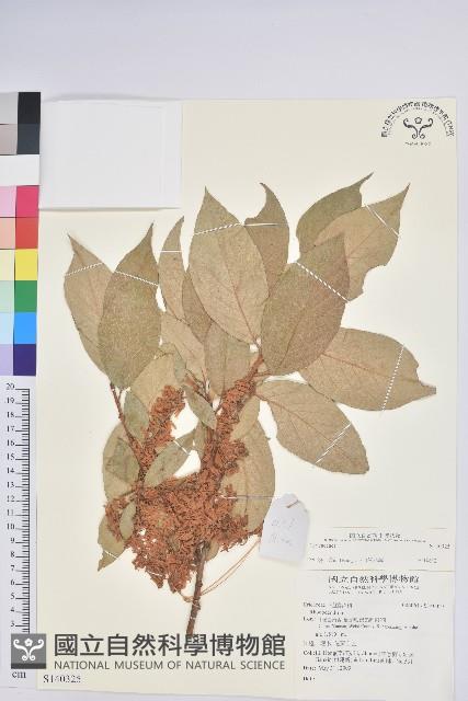 登錄號:S140325藏品圖，第1張