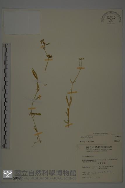 登錄號:S000825藏品圖，第1張