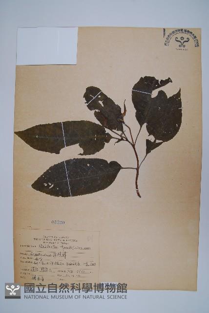 山青藏品圖，第1張