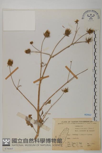 Accession Number:S076005 Collection Image, Figure 1, Total 2 Figures