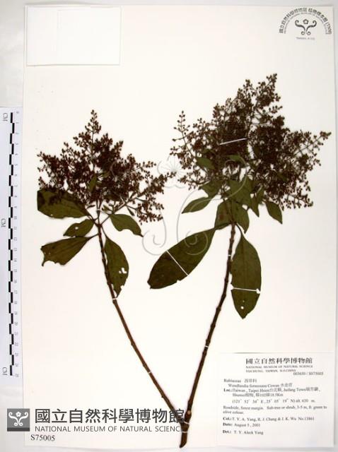 水金京藏品圖，第1張