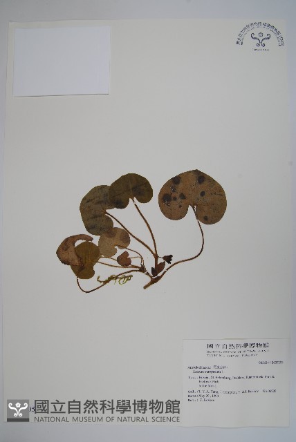 登錄號:S037205藏品圖，第1張