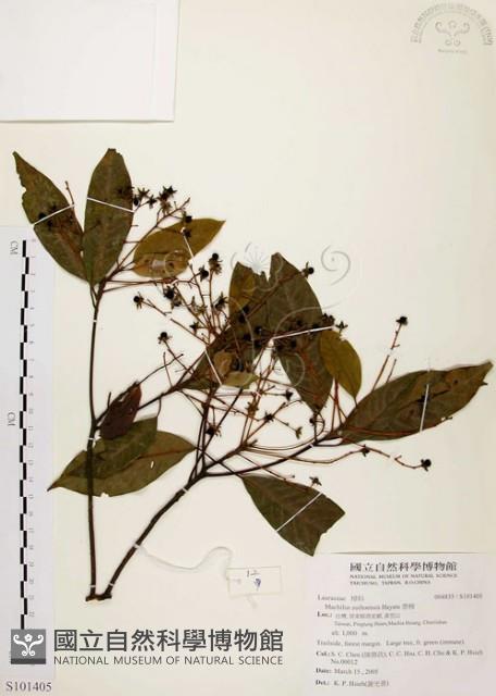香楠藏品圖，第1張
