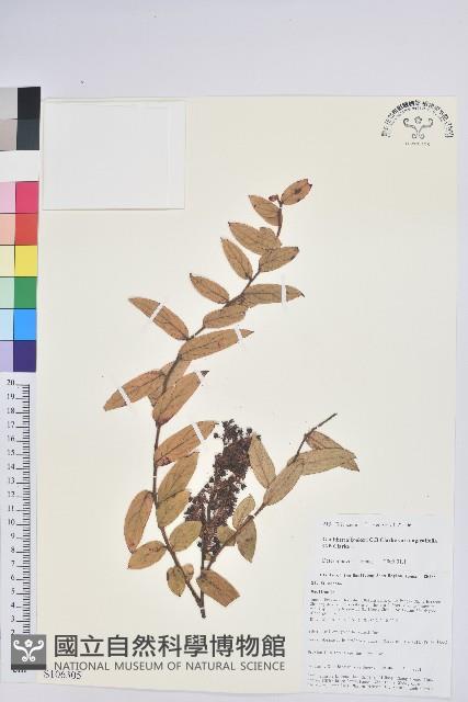 登錄號:S106305藏品圖，第1張