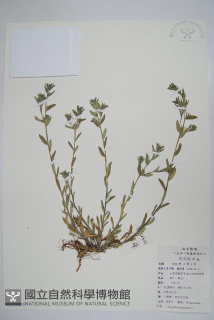 麥家公藏品圖，第1張