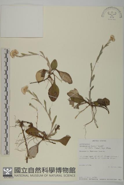 登錄號:S085805藏品圖，第1張