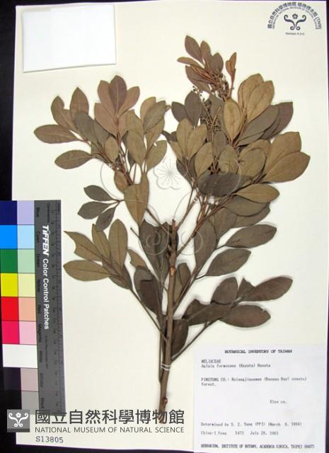 紅柴藏品圖，第1張