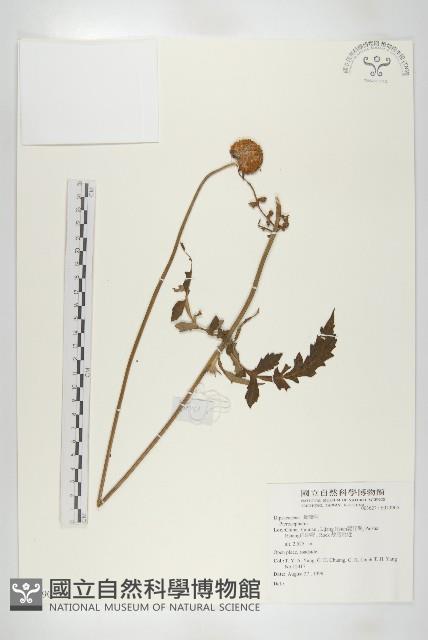 登錄號:S073905藏品圖，第1張