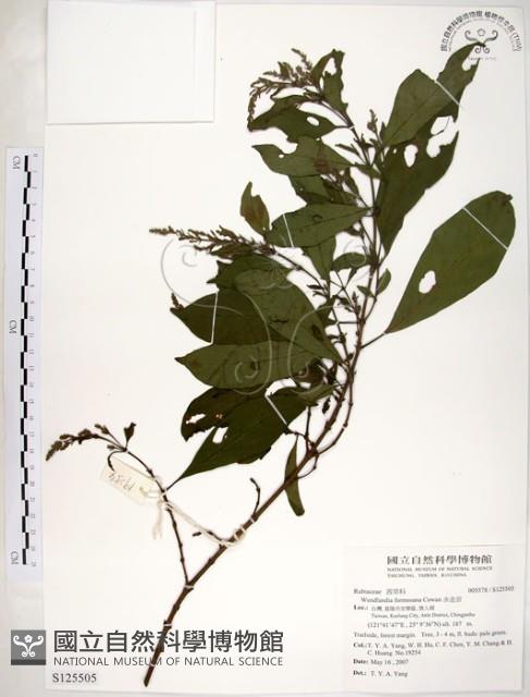 水金京藏品圖，第1張