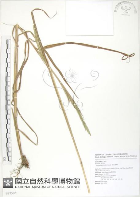 吳氏雀稗藏品圖，第1張