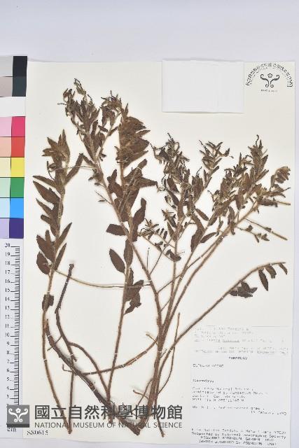 登錄號:S080615藏品圖，第1張