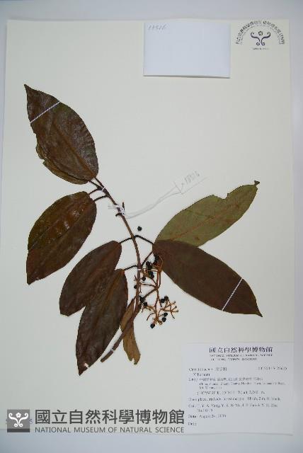 登錄號:S123615藏品圖，第1張