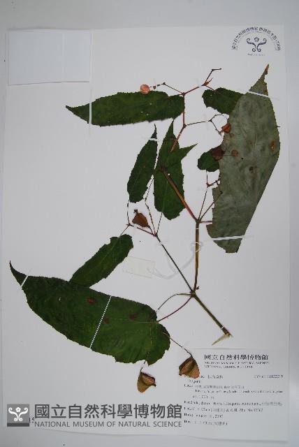 登錄號:S122015藏品圖，第1張