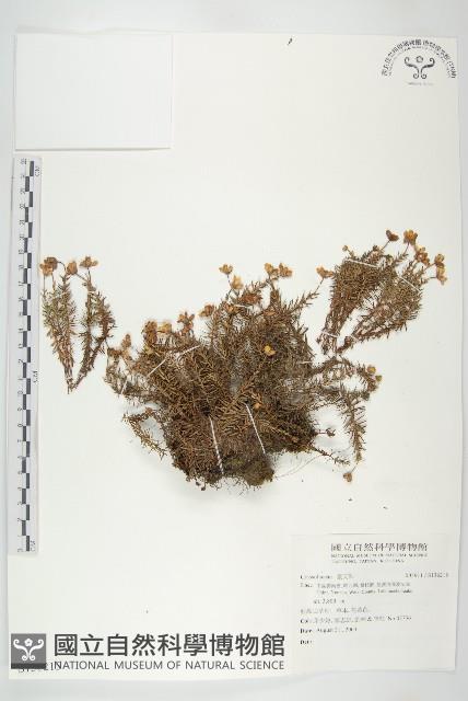 登錄號:S136215藏品圖，第1張