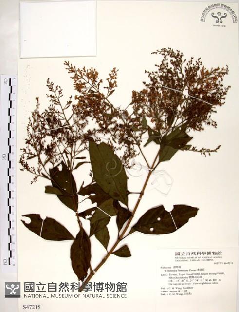 水金京藏品圖，第1張