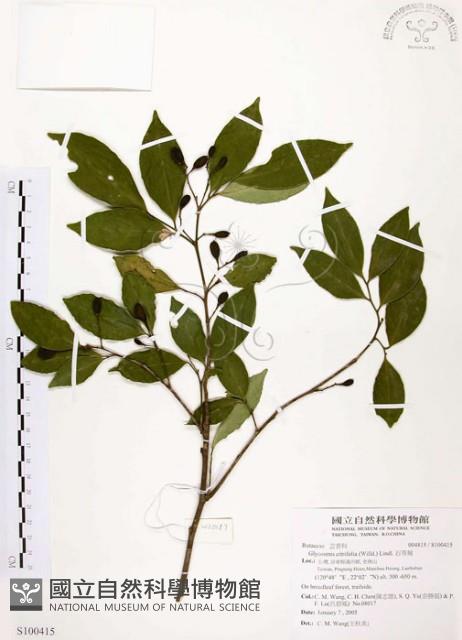 石苓舅藏品圖，第1張