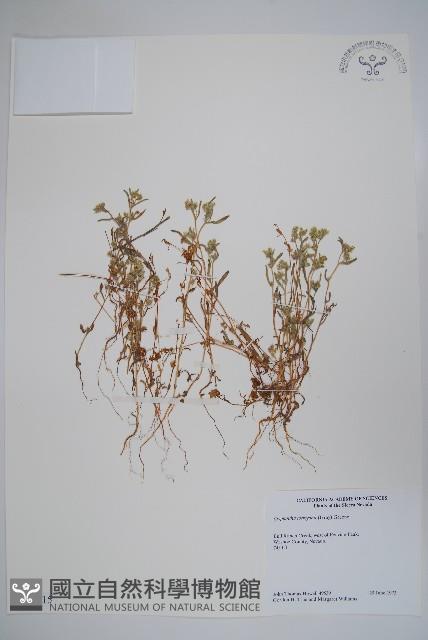 登錄號:S035115藏品圖，第1張