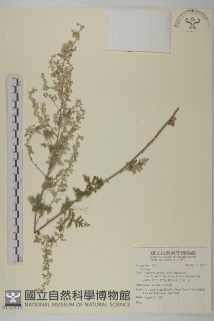 登錄號:S132315藏品圖，第1張