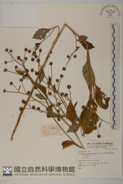 登錄號:S074315藏品圖，第1張