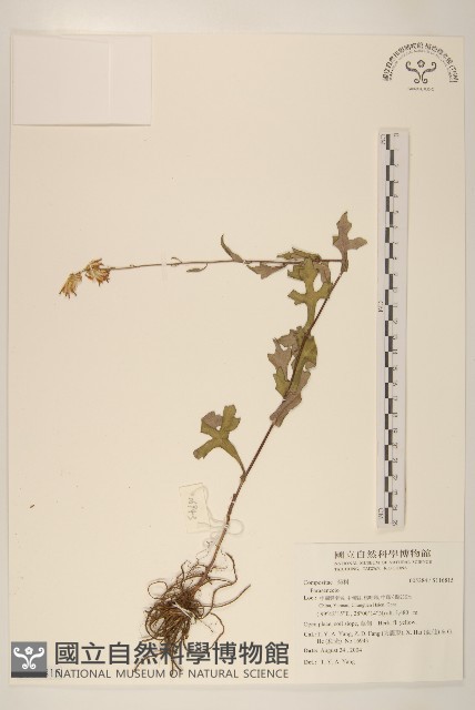登錄號:S116815藏品圖，第1張