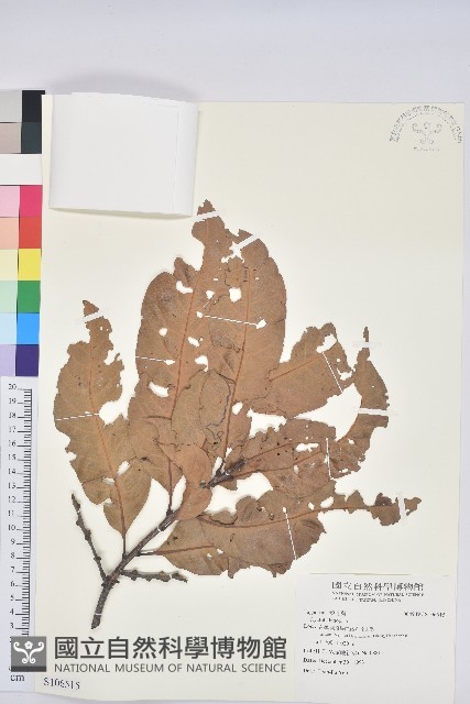 登錄號:S106515藏品圖，第1張