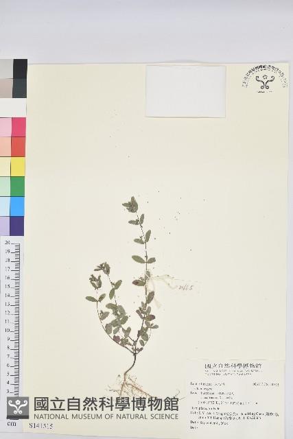 登錄號:S141515藏品圖，第1張