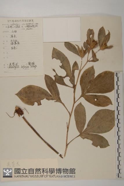 登錄號:S107515藏品圖，第1張