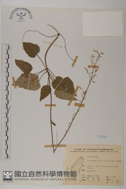 阿里山鬼督郵藏品圖，第1張