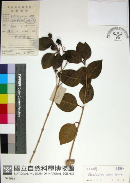 苦林盤藏品圖，第1張