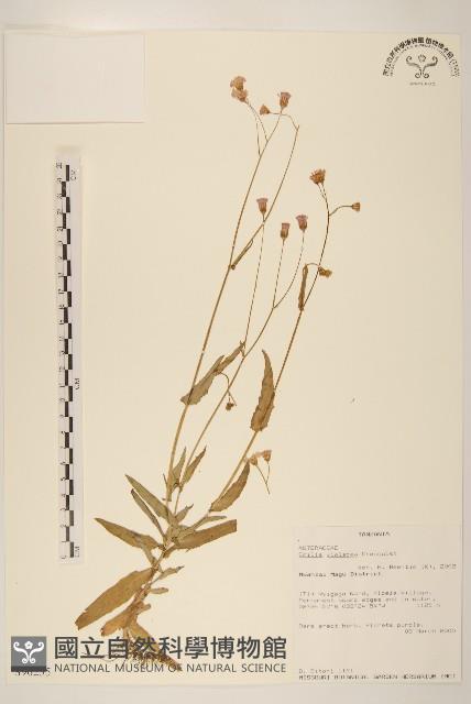 登錄號:S096255藏品圖，第1張