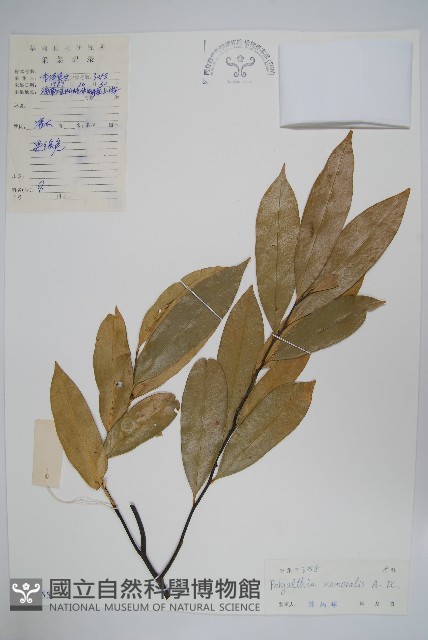 登錄號:S030455藏品圖，第1張