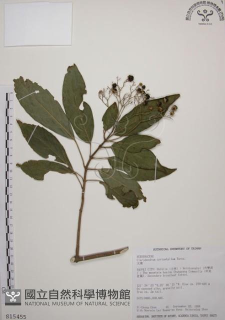 大青藏品圖，第1張